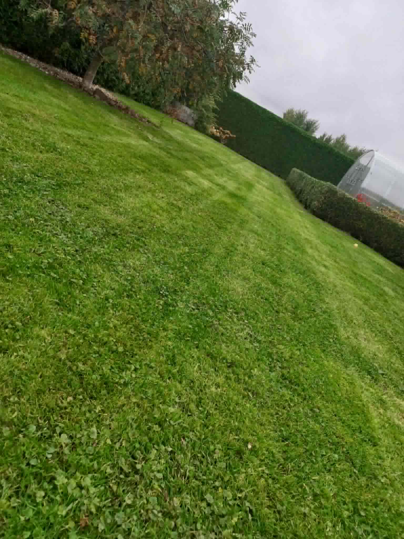 Vejos darbai