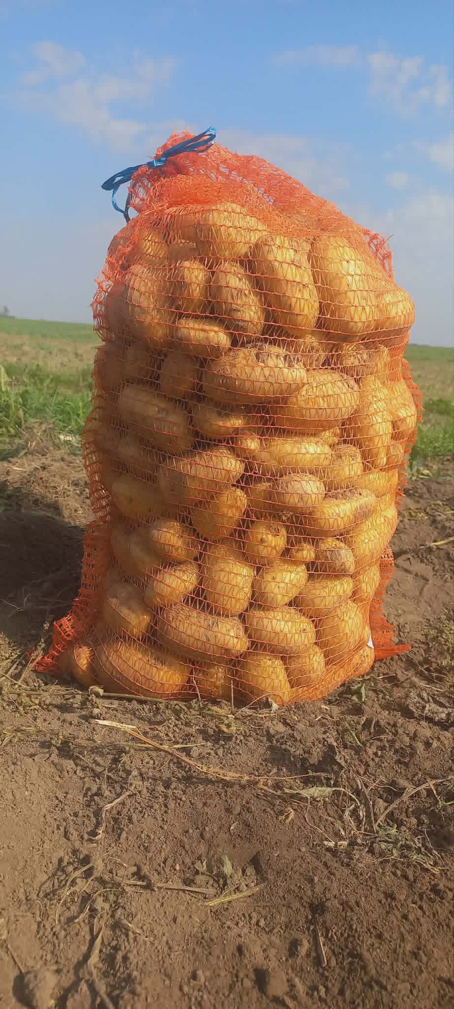 Ūkio darbų rezultatas